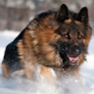 Meet your Posher, Christian